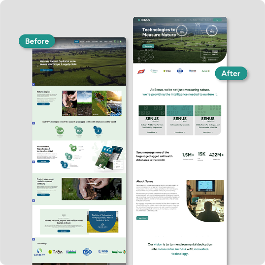 A comparison of a BCI Brands Web Design project shows a “Before” version with a busy layout and a streamlined “After,” featuring simplified navigation, a clean header, and concise information blocks.