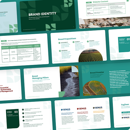 A collage of BCI Brands Web Design identity presentation slides with green and white themes, including text, charts, taglines, brand propositions, messaging pillars, website content, and nature images.